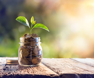 Wealth Management